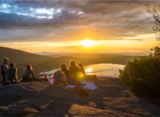 $45 Savory Subsidy Per Day for All Visitors